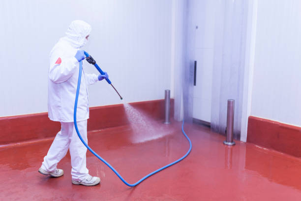 Best Pool Deck Cleaning  in Mather, CA
